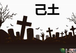 十天干己土详解