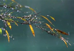 八字调侯寒暖湿澡