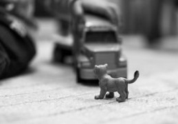 金命人无什么（1985海中金命无什么怎么瞧）