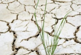 太燥的八字有何影响，如何调整化解