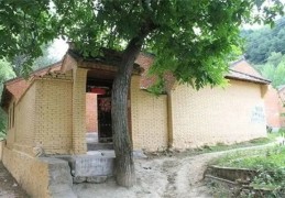 大门前栽树的风水