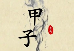 自查甲子日生的人命好吗