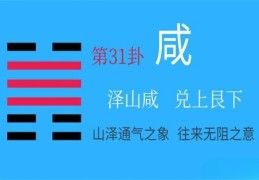 六十四卦：泽山咸卦详解（泽山咸卦详解）