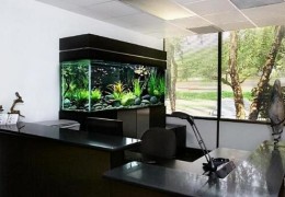 办公室里摆放鱼缸风水禁忌