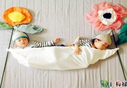 怎么理解双胞胎八字相同命不同