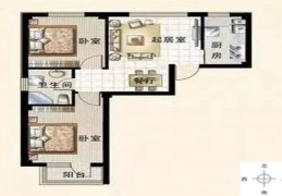 壬水女命理分析