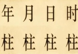 八字时柱所代表的信息有哪些