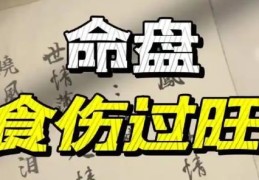 八字食伤过旺好吗