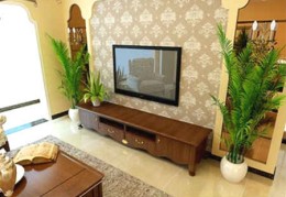 电视旁边的植物风水