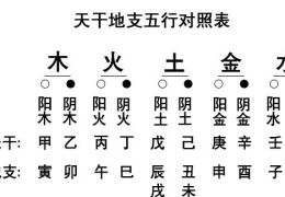 八字十二地支五行