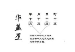 八字命带华盖代表什么