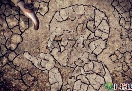 八字五行缺水之人注意什么，如何改运