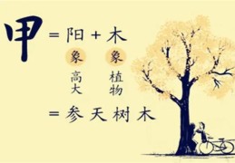 ​甲木日元的女人命运好吗