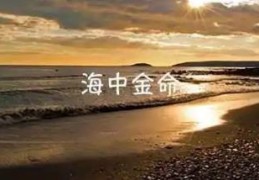 海中金命的性格怎么样