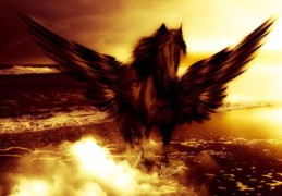 必出美女八字（必出美女八字特点）