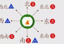 住宅玄关摆放鱼缸风水禁忌