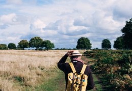 女命走枭神运好不好