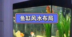 住宅鱼缸催财风水方法
