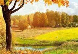 甲木日元的人命运特征