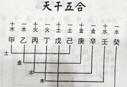 八字见戊癸合的男人好吗