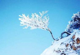 漏财的房屋怎么处理（漏财的房屋怎么处理好）