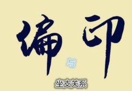 偏印与坐支的关系