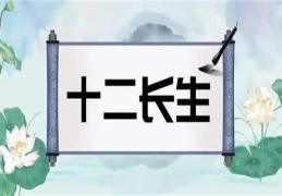 八字十二长生含义详解