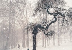 从儿格的人特点（从儿格的人的特点）