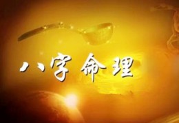 有多少种成格局的八字