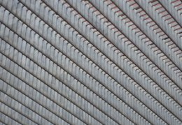 从弱格（从弱格女命）