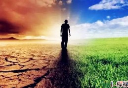 八字看一个人未来有多少财富