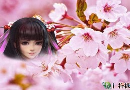 ​红艳桃花查询，红艳和桃花的区别