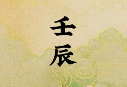 壬辰日出生的人命好吗，壬辰日各个时辰吉凶