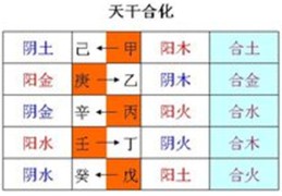 八字天干作用关系详解