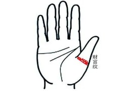 财来财去的手相特征