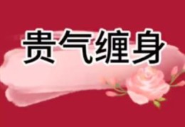 八字有贵气如何理解