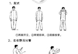 24式太极拳各式动作名称及分解动作口令