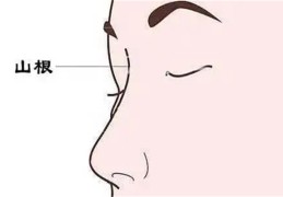 旺妻的面相特征