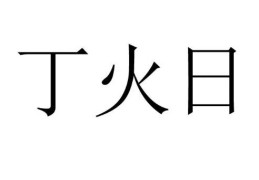 丁火日元的人好吗