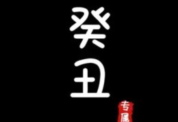 癸丑日出生的人命好吗，癸丑日各个时辰吉凶