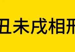 八字地支未丑戌三刑含义