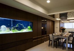 财位上放鱼缸养鱼好不好