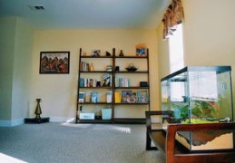 家居风水厨房在哪个方位比较好（家居风水厨房在哪个方位比较好一点）