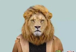 头朝哪个方向睡觉风水最好