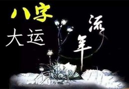 怎么看自己的大运流年（怎么看自己的大运流年走到哪了）