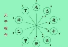 八字天干五合解析