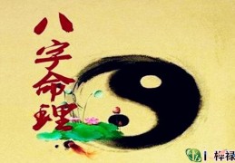 八字命理派别正确解读