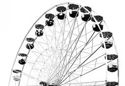 八字入门之五行木的职业类象（八字入门之五行木的职业类象征是什么）