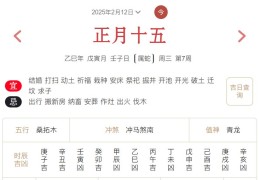 2025年2月12日每日五行穿衣指数解读搭配