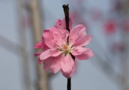 女人婚姻不顺如何化解